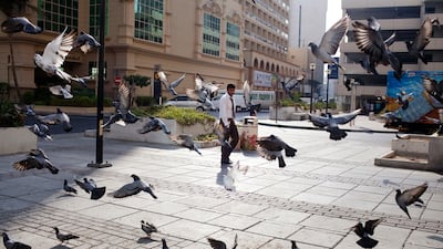 Al Rigga in Dubai is one of the areas earmarked under the new shared housing regulations. Sarah Dea / The National
