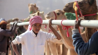 Jordanians race their camels in front of Sheikh Sultan bin Hamdan bin Zayed, President of the Arab Camel Racing Federation and with the presence of Prince Asem bin Nayef, vice president of the Jordan Royal Equestrian Federation, during the annual camel race in Wadi Rum, Jordan. Salah Malkawi / The National