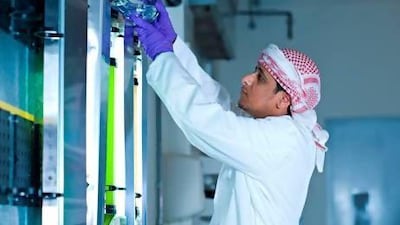 Ahmed Al Harethi, a second year Master's student with Masdar Institute's Chemical Engineering Programme, is cultivating algae strains found in water pools in Al Wathbah for his biofuel research. Courtesy Masdar Institute