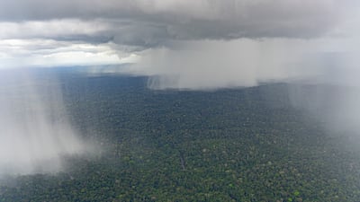 A rainstorm over the Amazon rainforest. AFP