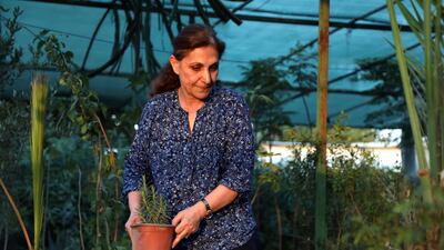 Diman Fatah, the 59-year-old owner of Arbil's first female-run plant nursery, carries out her duties in Arbil, the capital of the northern Iraqi Kurdish autonomous region. AFP
