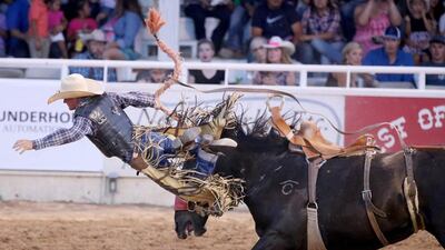 Brewster Guin gets bucked off of Social Call during the second performance of the West of the Pecos Rodeo at the Buck Jackson Arena in Pecos, Texas USA. Edyta Blaszczyk / Odessa American / AP
