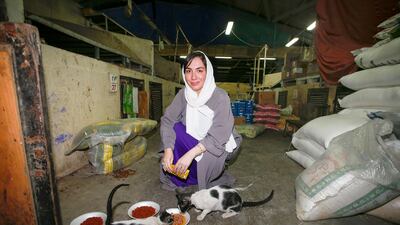Dr Manal Al Mansoori, director of the Yanni animal welfare group, wants Dubai Municipality to conduct a programme similar to the one that has been a success in Abu Dhabi. Chris Whiteoak for The National