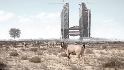 A Gemsbok. “This is about promoting sustainable economy rather than sustainable growth, which is kind of any oxymoron,� the artist, Mr Allenby-Pratt, said.