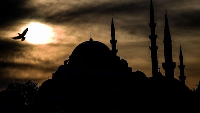 A seagull flies over Eminonu district as the Suleymaniye mosque is seen in the background. Ozan Kose / AFP Photo