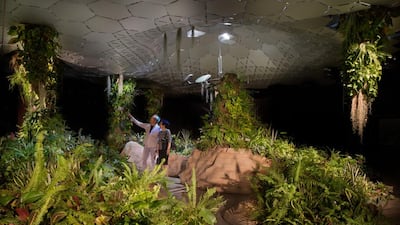 Visitors to the Lowline in New York get a look into what the future holds for urbanisation. Courtesy of the Lowline