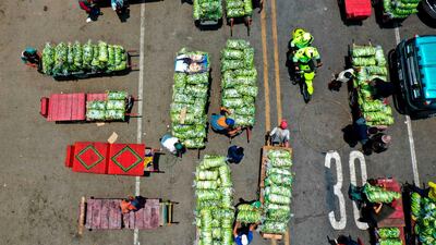 Workers preparing to distribute banana in the city at Corabastos market in Bogota, Colombia. AFP