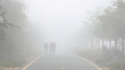 Cyclists on Al Qudra cycle track during heavy fog in Dubai. Chris Whiteoak / The National