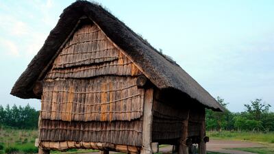 Aa reconstructed ancient Japanese building with a thatched roof and walls on the excavation site of Sannai Maruyama ruins near Aomori city, Aomori province, Japan. The Jomon culture (13,000 B. C. to roughly 300 B. C. ) archaeological sites became a Unesco World Cultural Heritage Site.