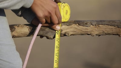 Ahmed Ayman measures the height of a barrier.