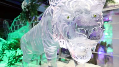 Dubai Garden Glow also has an ice park. Chris Whiteoak / The National