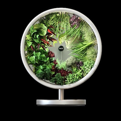 Rotofarm is inspired by the hydroponics systems developed for Nasa, and suspends plants in negative gravity for faster growth.