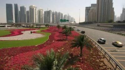 A reader says people should cooperate with the Government to keep the UAE greeen. Randi Sokoloff / The National