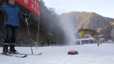 A pet rabbit and a tortoise compete in a skiing competition in Sanmenxia, north China's Henan province. AFP Photo