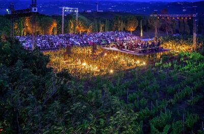 The stage was set amid grape vines making for a picturesque performance. Photo: Ixsir