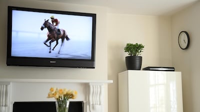 The Virtual Grand National raised £2.6million for the NHS. Getty Images