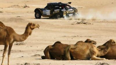 Britain's Mark Powell and Tim Ansell drive their Honda during last year's UAE Desert Challenge.