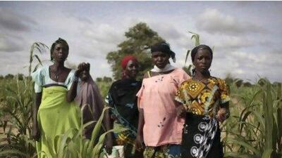 Young women stand in a field of millet outside the remote village of Hawkantaki, Niger. In a normal year, the green shoots rise as high as 4 metres but this time, they only reach the waist.