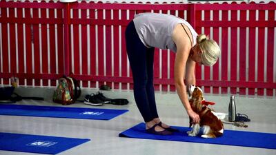 The next session takes place in September. Karma Gurung / The National