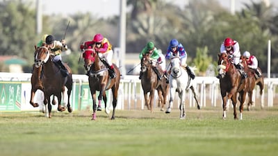 The Abu Dhabi Equestrian Club. Lee Hoagland / The National