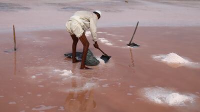 A man extracts sea salt from a salt field in Sandspit, on the outskirts of Karachi, Pakistan. EPA