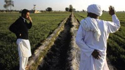 We're not so different, you and I: Faisal Malik (left) talks with his farm manager on his 150 acre plot near Bahawalpur, Pakistan.
