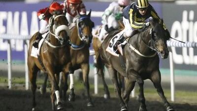 Krypton Factor, right, trained by Fawzi Nass, won the Dubai Golden Shaheen in March.