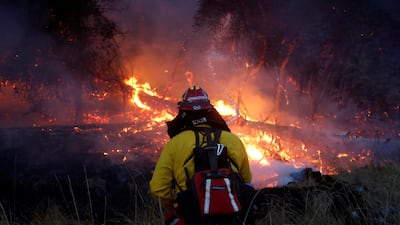 Firefighters battle a wildfire near Santa Rosa, California, on October 14, 2017. Jim Urquhart / Reuters