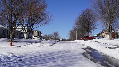 Hadi's treelined street in Lincoln
