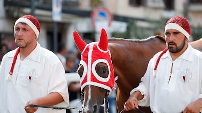A horse is led to the race, which takes place on the town's renaissance streets.