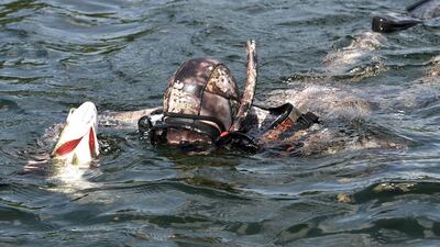 Mr Putin swims holding a fish he caught during a mini-break in the Siberian Tyva region. Alexei Nikolsky / Sputnik, Kremlin Pool Photo via AP.