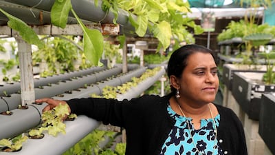 Farm manager Anshu Santosh in one of the aquaponic units at the site