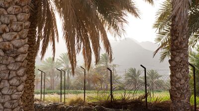 A view of the mountains on a traditional Emirati farm in Wadi Al Tuwa, Ras Al Khaimah, United Arab Emirates.