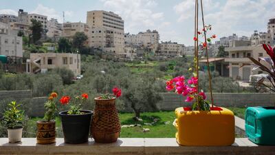 Looking out from Habibi Hostel in Bethlehem, Palestine. Courtesy Habibi Hostel