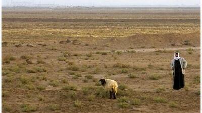 A shepherd in Hasika last November. Four years of drought and recent crop disease have devastated the province, aid agencies say. Phil Sands / The National