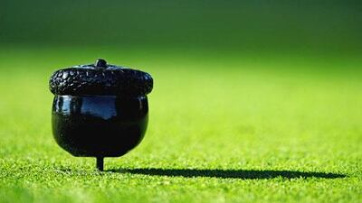 Fans have until Saturday to go online and vote for the “Pick the Hole Location”. Stuart Franklin / Getty Images