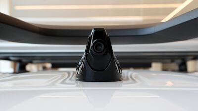 It's looking at you.