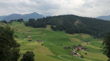 The mountain resort of Burgenstock is accessible by a combination of boat and funicular railway. Mohamad Ali Harisi / The National