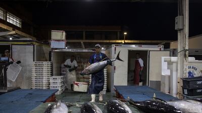 A vendor unloads fish for sale on Good Friday at the Companhia de Entrepostos e Armazens Gerais de Sao Paulo market in Sao Paulo. Bloomberg