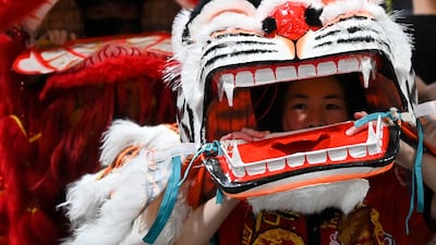 A performer is seen inside a tiger costume during a lion and tiger dance as part of Lunar New Year celebrations at Paddy’s Markets in Chinatown, Sydney, Australia, 29 January 2022. EPA / STEVEN SAPHORE AUSTRALIA AND NEW ZEALAND OUT