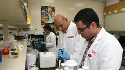 Dr Omar El Agnaf, centre, in his lab at the College of Medicine and Health Sciences in Al Ain. He and fellow researchers have developed antibodies to be used in the Parkinson’s fight. Pawan Singh / The National