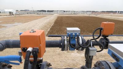 Initially, the technology is being trialled on a small scale, but if the technology proves viable a 200-hectare demonstration site is planned. Antonie Robertson / The National