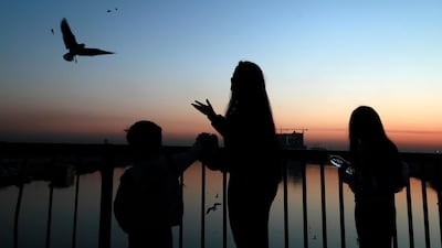 People feed seagulls on a bridge over the Tigris river as the sun sets in Baghdad, Iraq. AP Photo