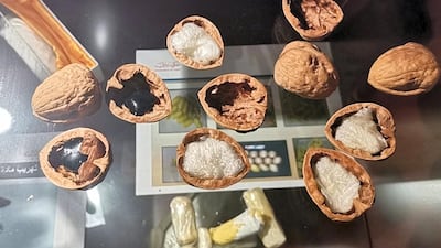 One woman was caught hiding 3kg of an illegal drug in six walnuts at Terminal 3 of Dubai International Airport. Courtesy: Dubai Customs