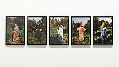 Hana Gamal highlights the role of women in Egypt’s agriculture in her photographs. Courtesy Sharjah Art Foundation