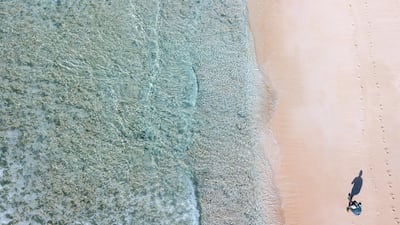 James Beard on East Beach. Iain McGregor/STUFF