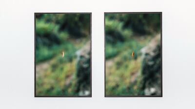 In a diptych photograph titled 'Leaf', Kallinikou captures what appears to be levitating leaf, though in reality it is caught in a spider web. Reem Mohammed / The National