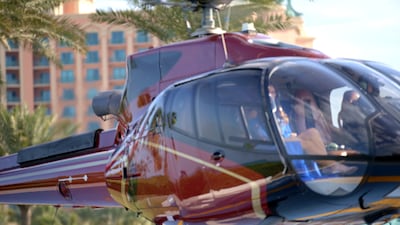 The cast come from various backgrounds but all have one thing in common: getting to the top and staying on top.