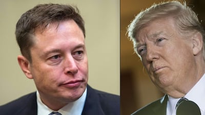 This file combination of images shows a file photo of SpaceX chief executive Elon Musk (L) in Washington and former US president Donald Trump at the US Capitol. AFP