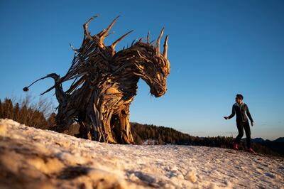 A woman walks near the "Vaia Dragon", a sculpture made by Italian artist Marco Martalar in Lavarone near Trento, Alps Region, Northeastern Italy, on December 13. AFP